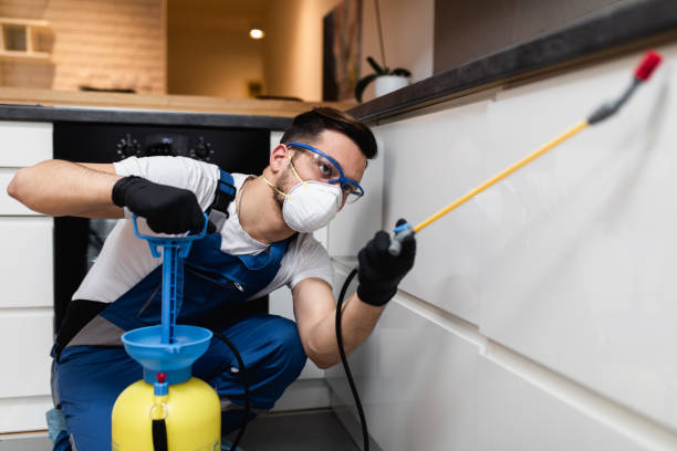 Flea Control Services in South Fulton, GA