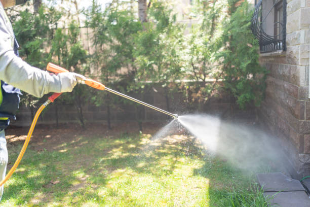 Best Mosquito Control Services  in South Fulton, GA