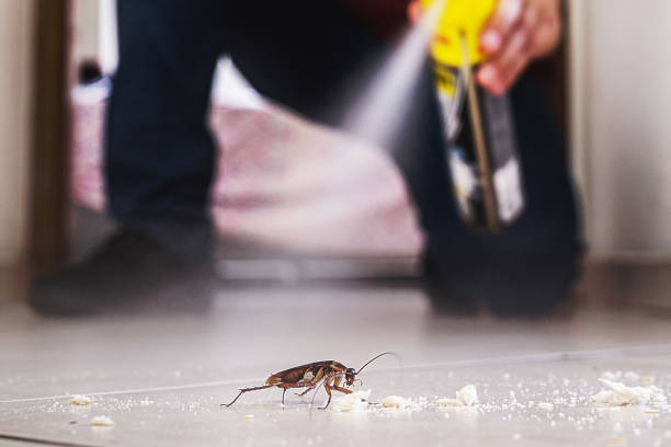 Best Exterminator Services  in South Fulton, GA