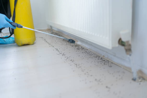 Pest Control for Restaurants in South Fulton, GA