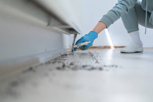 Professional Pest Control in South Fulton, GA